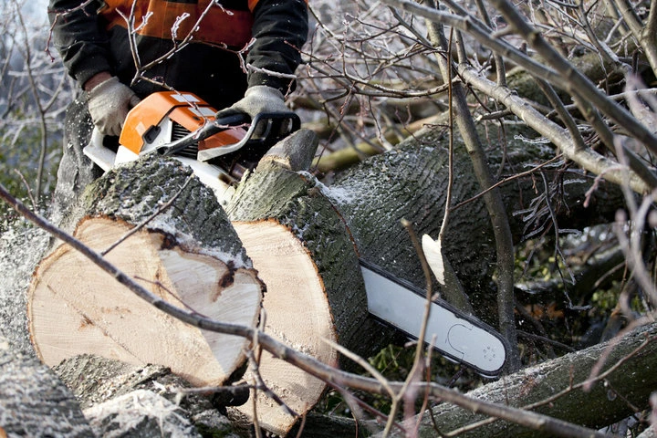 Licensed and insured emergency tree care professionals working safely in Woodstock, GA