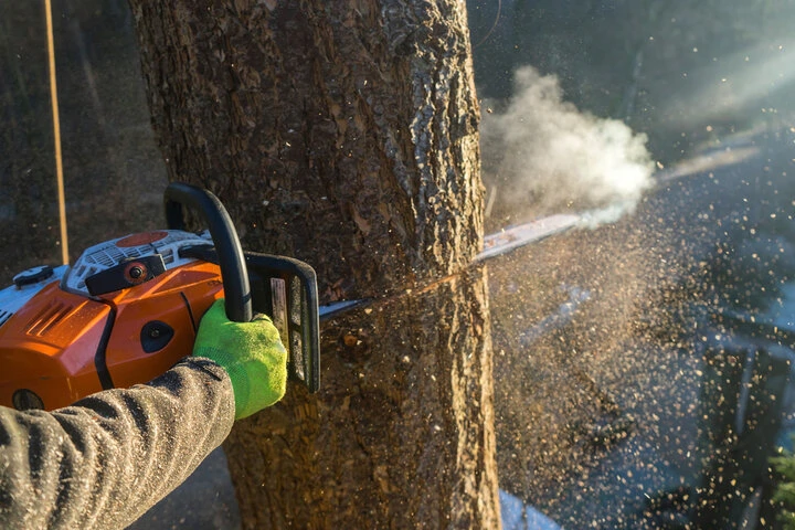 Professional tree removal crew safely dismantling a hazardous tree in Woodstock, GA