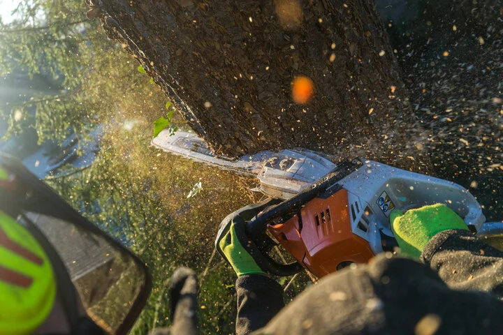 Certified Georgia tree care professionals following emergency service safety standards