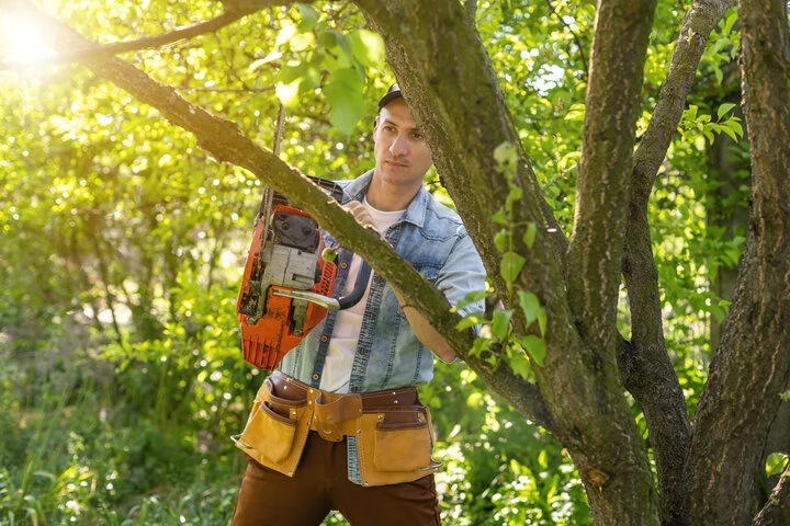 Arborist trimming overgrown branches to improve tree health and safety in Woodstock