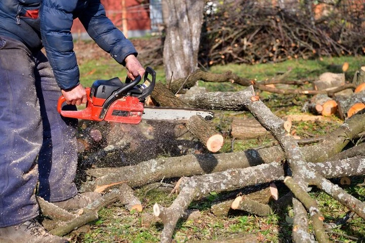 Experienced tree removal contractors safely lowering large tree sections in Woodstock, GA