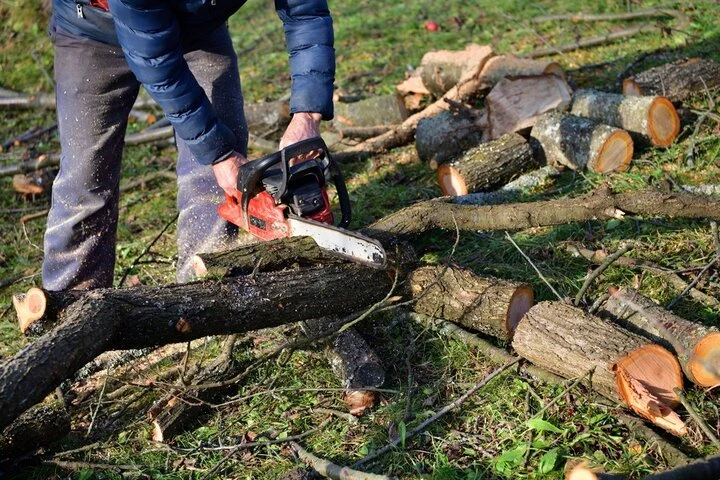 Tree service professional preparing a transparent tree removal estimate for a Woodstock homeowner